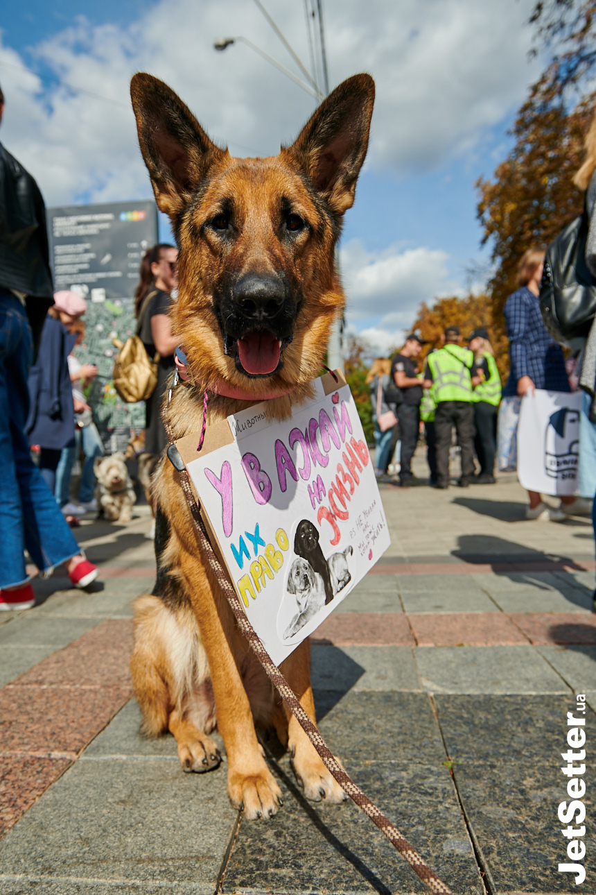 Марш за тварин: Джамала, Уляна Супрун та інші активісти