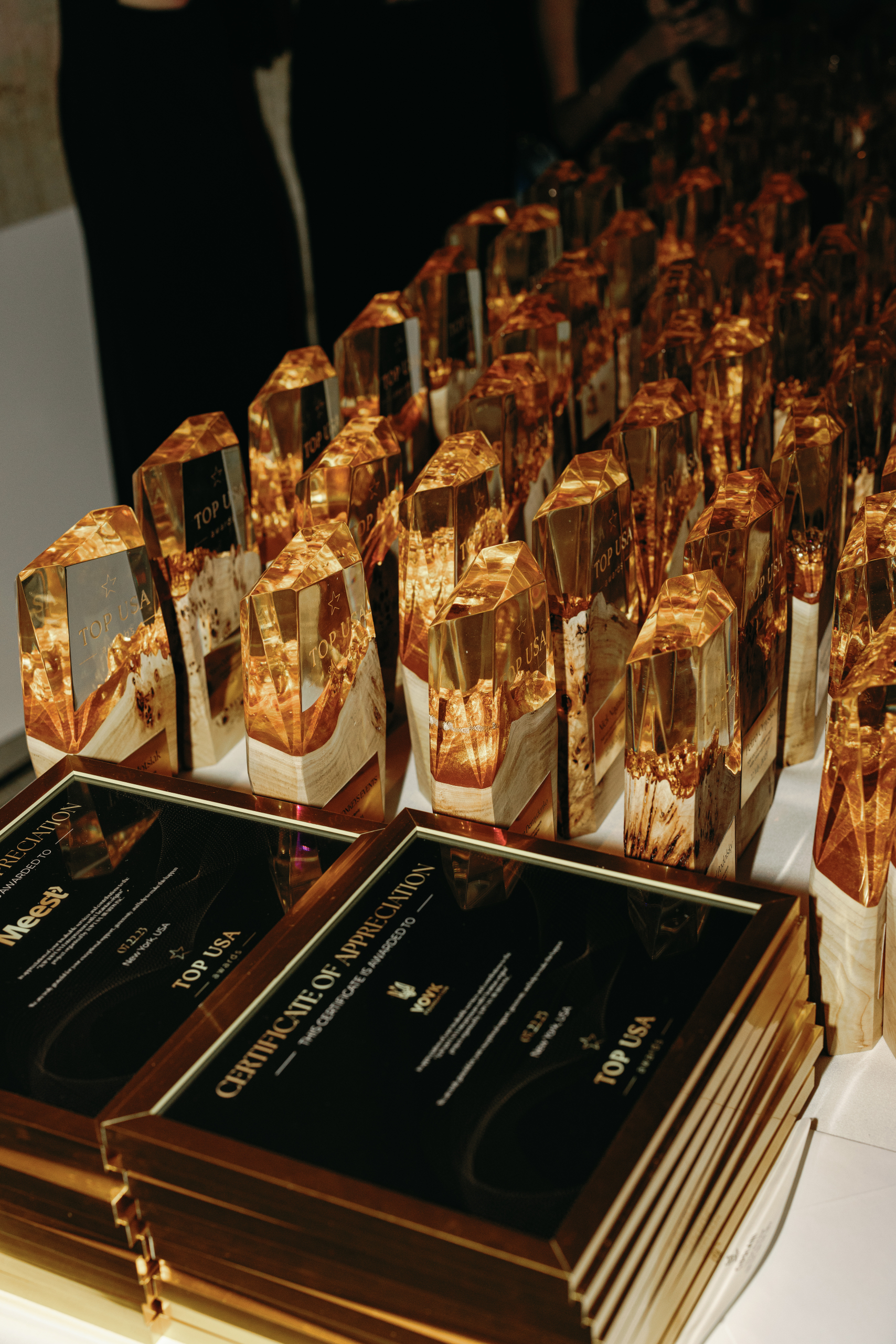 Премія TOP USA Awards у Нью-Йорку для американських підприємців українського походження