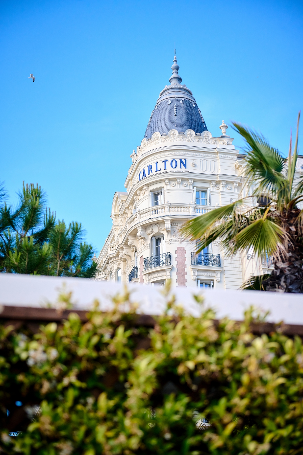 Cannes Élite Dinner: інтелектуальна розкіш у серці Канн